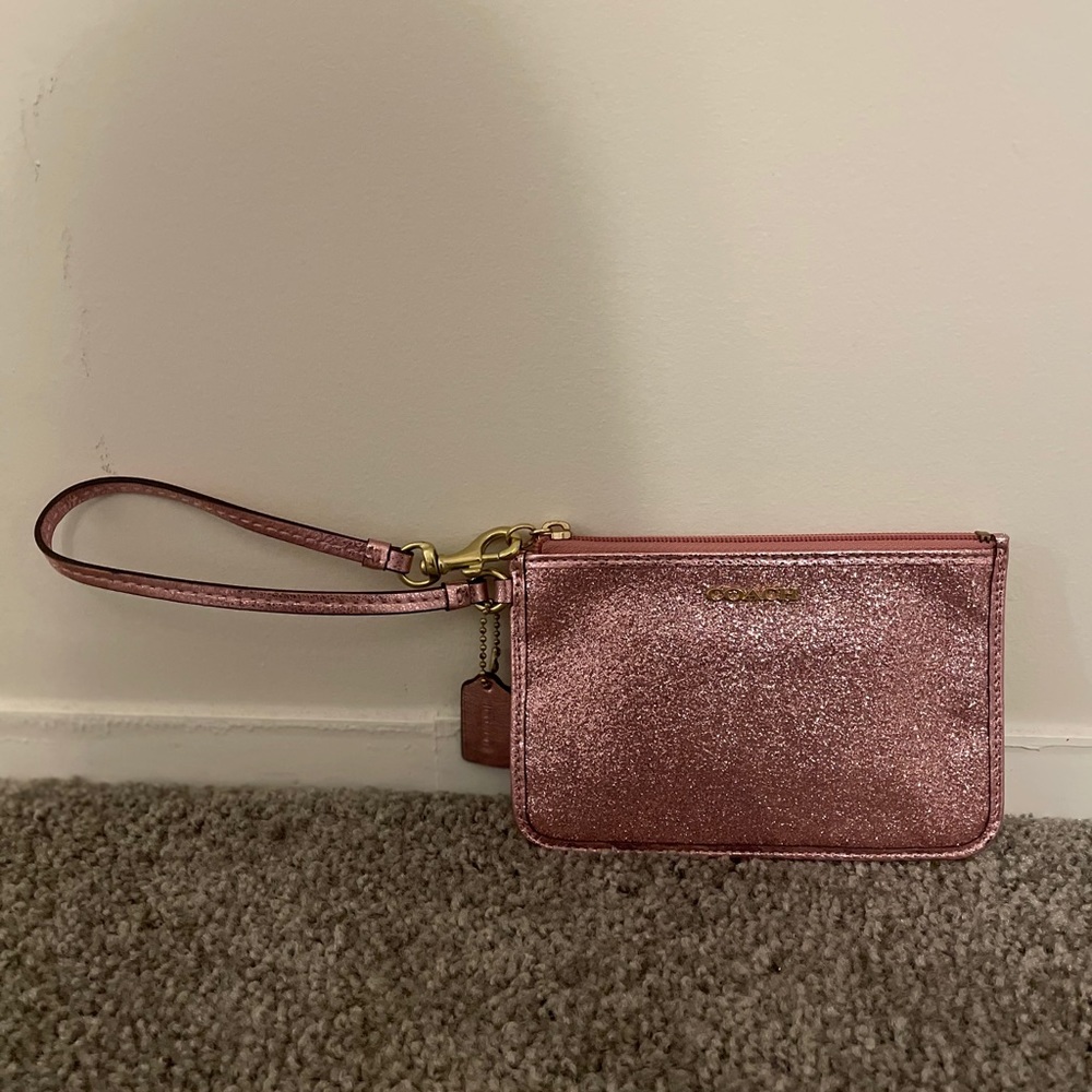 Coach money bag